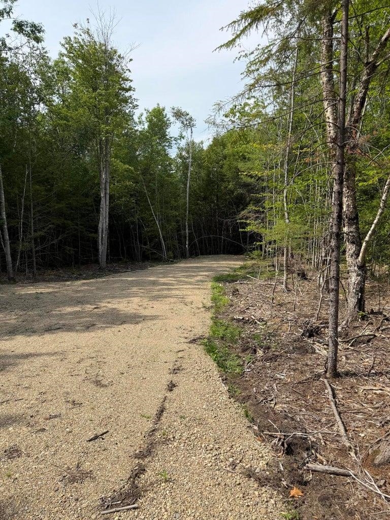 Gravel road curving into a wooded property, with dense trees along both sides.
