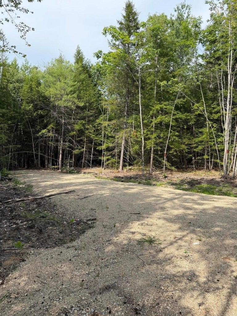 Gravel clearing on a wooded vacant lot, bordered by dense trees.