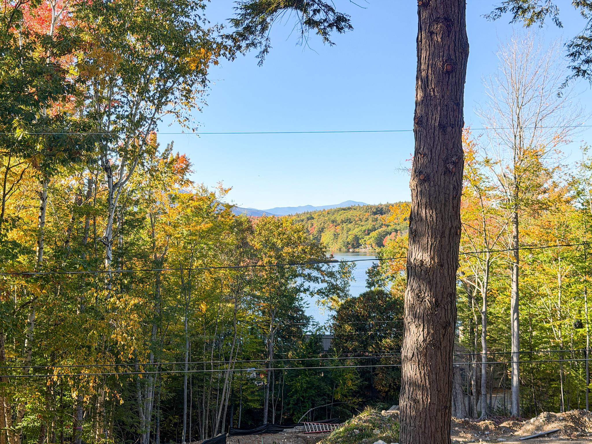 Wooded lake and mountain view through autumn foliage from a hillside property.