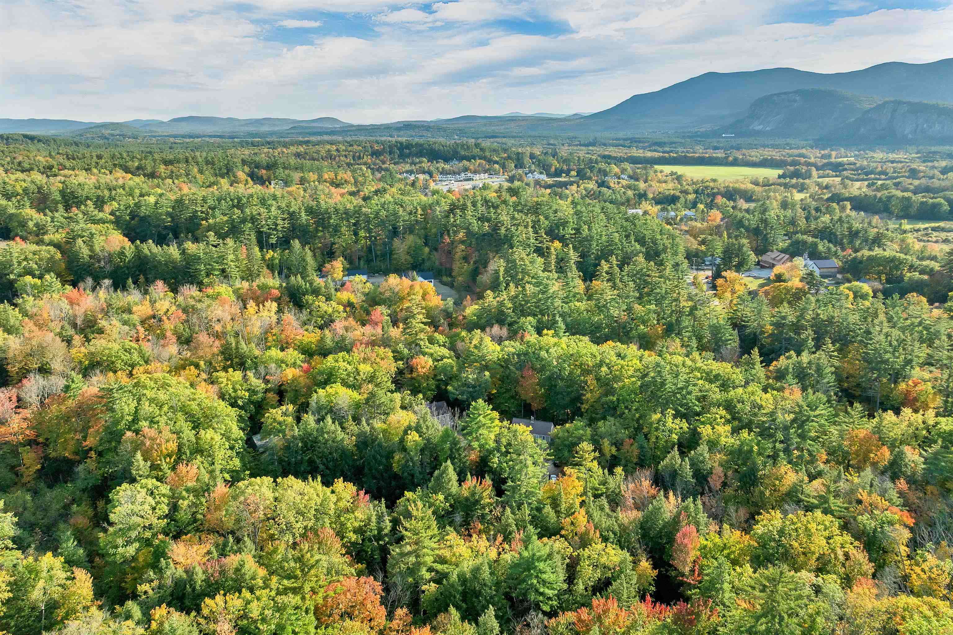 Aerial view over autumn-colored forest, with scattered homes and mountains on the horizon.