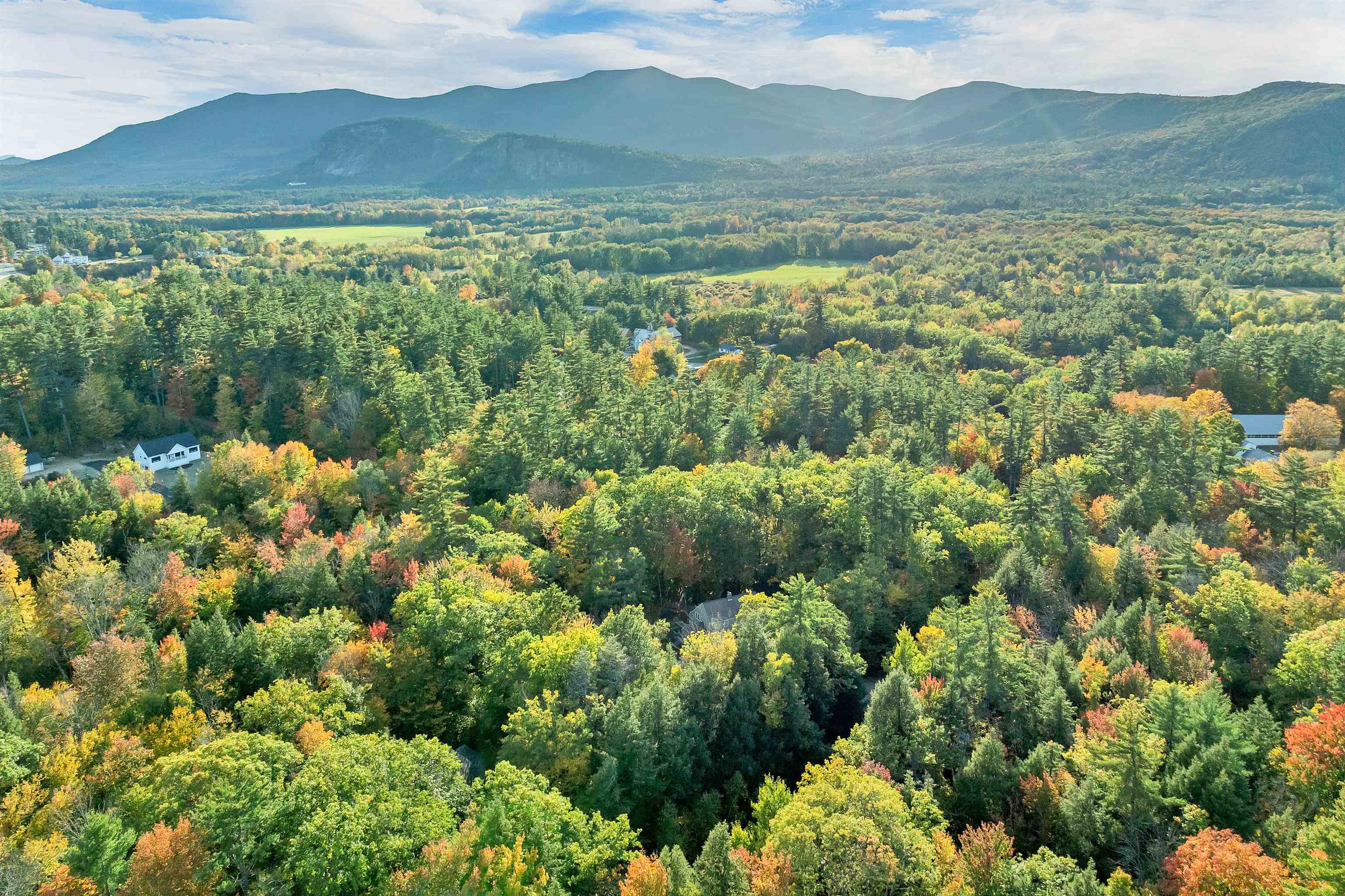 Aerial view of colorful autumn forest, scattered homes, open fields, and distant mountains.