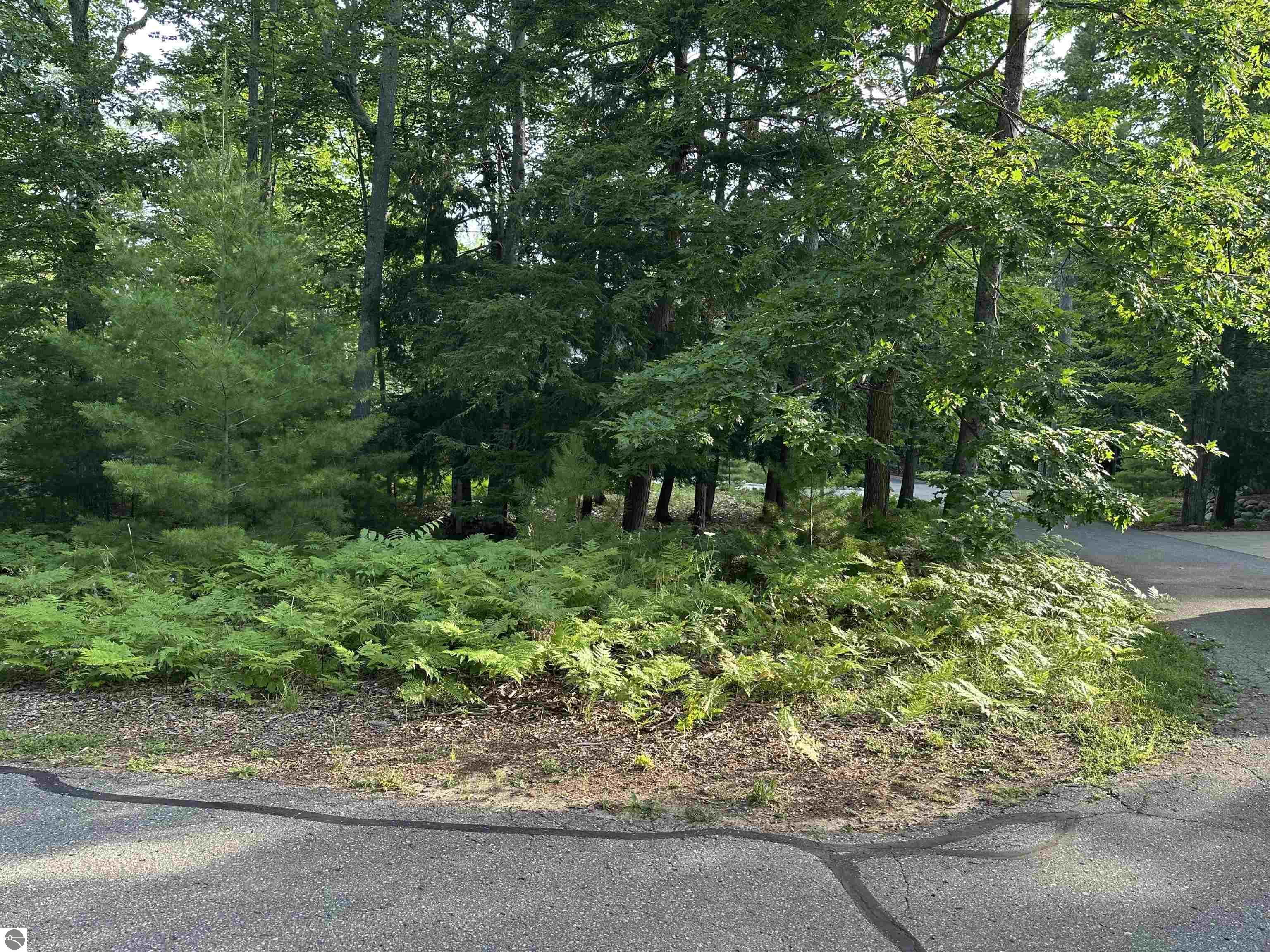 7 Deer Park