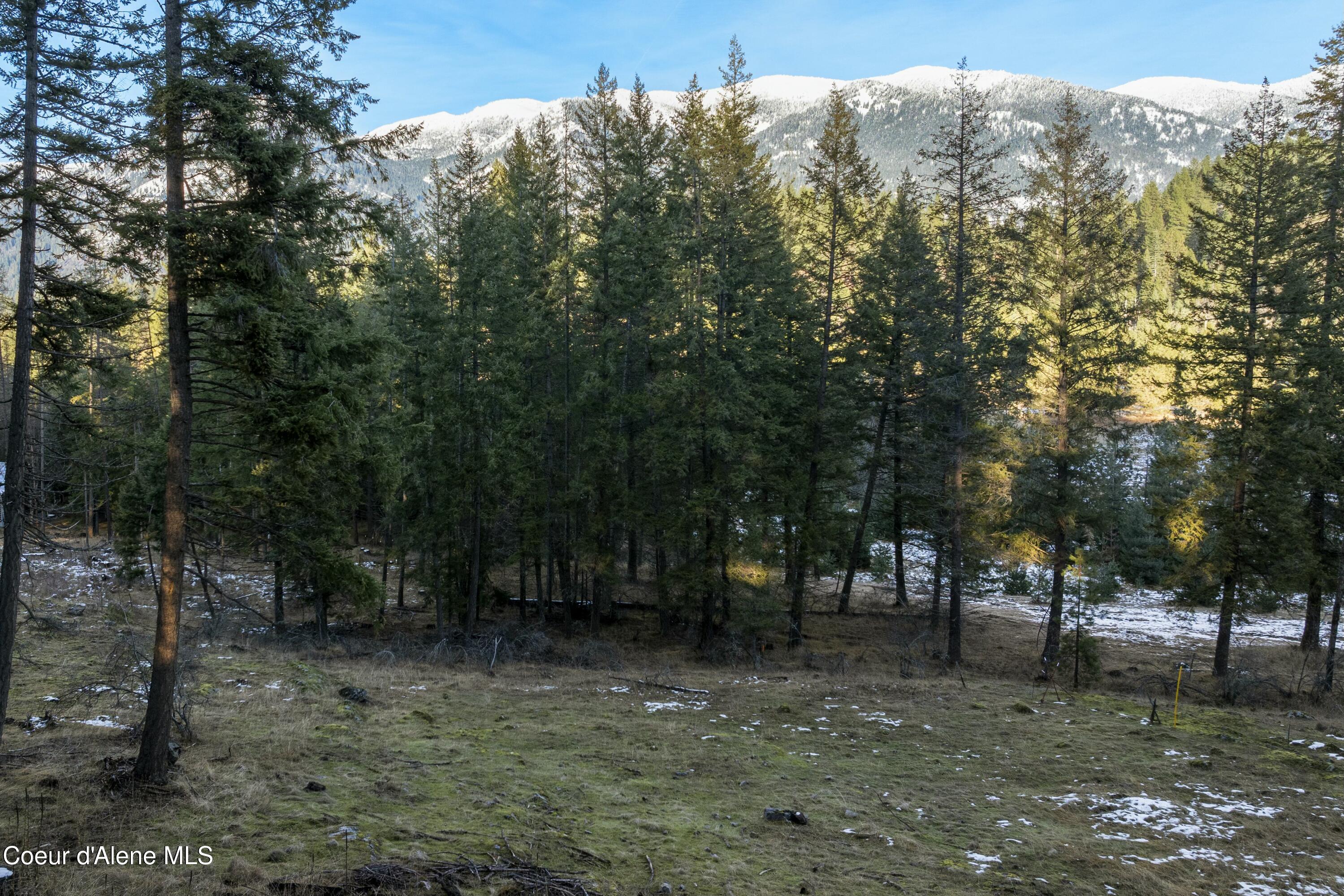 Blk1Lot3 Sasha Point