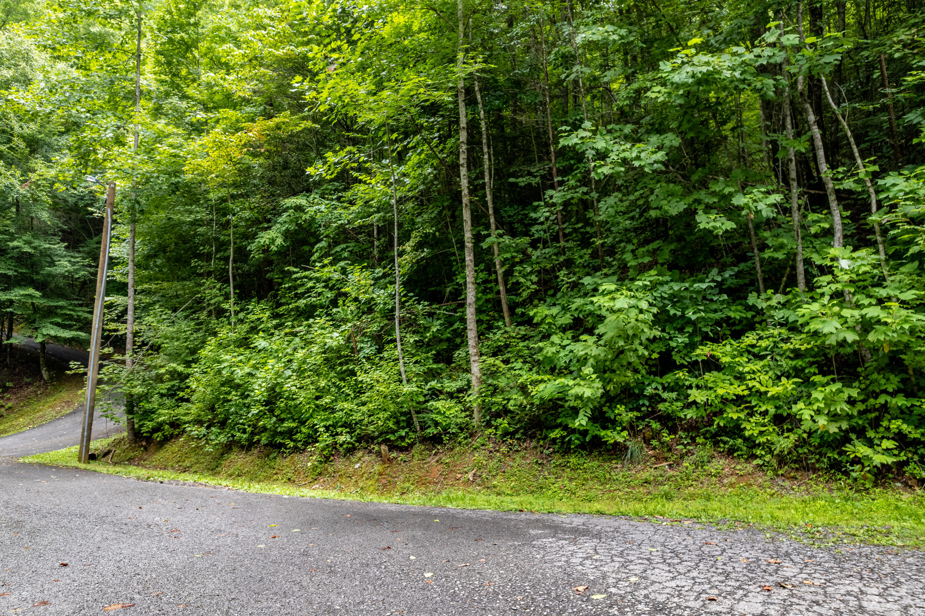 Lot 48 Riversong Way Way