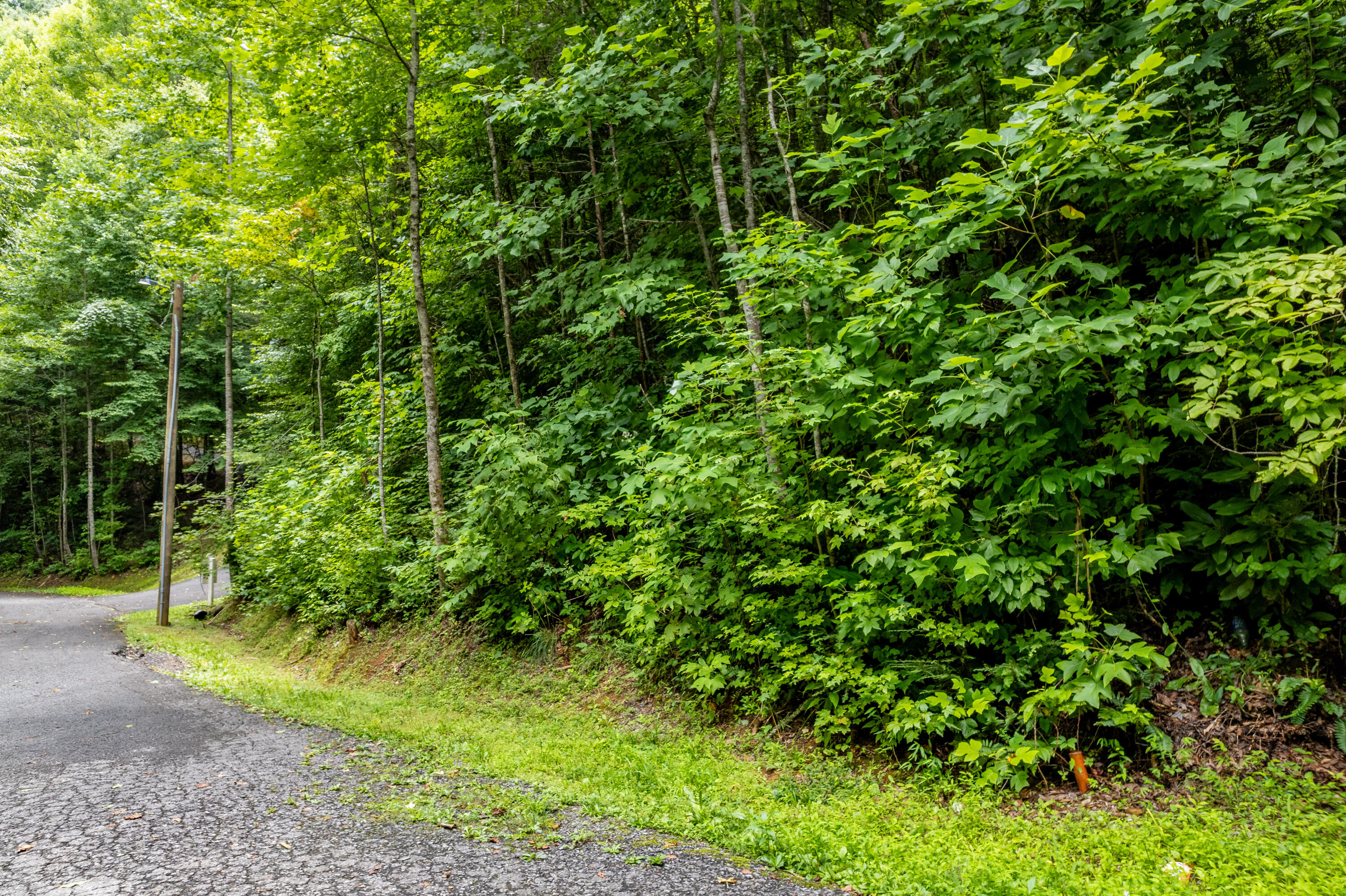 Lot 48 Riversong Way Way