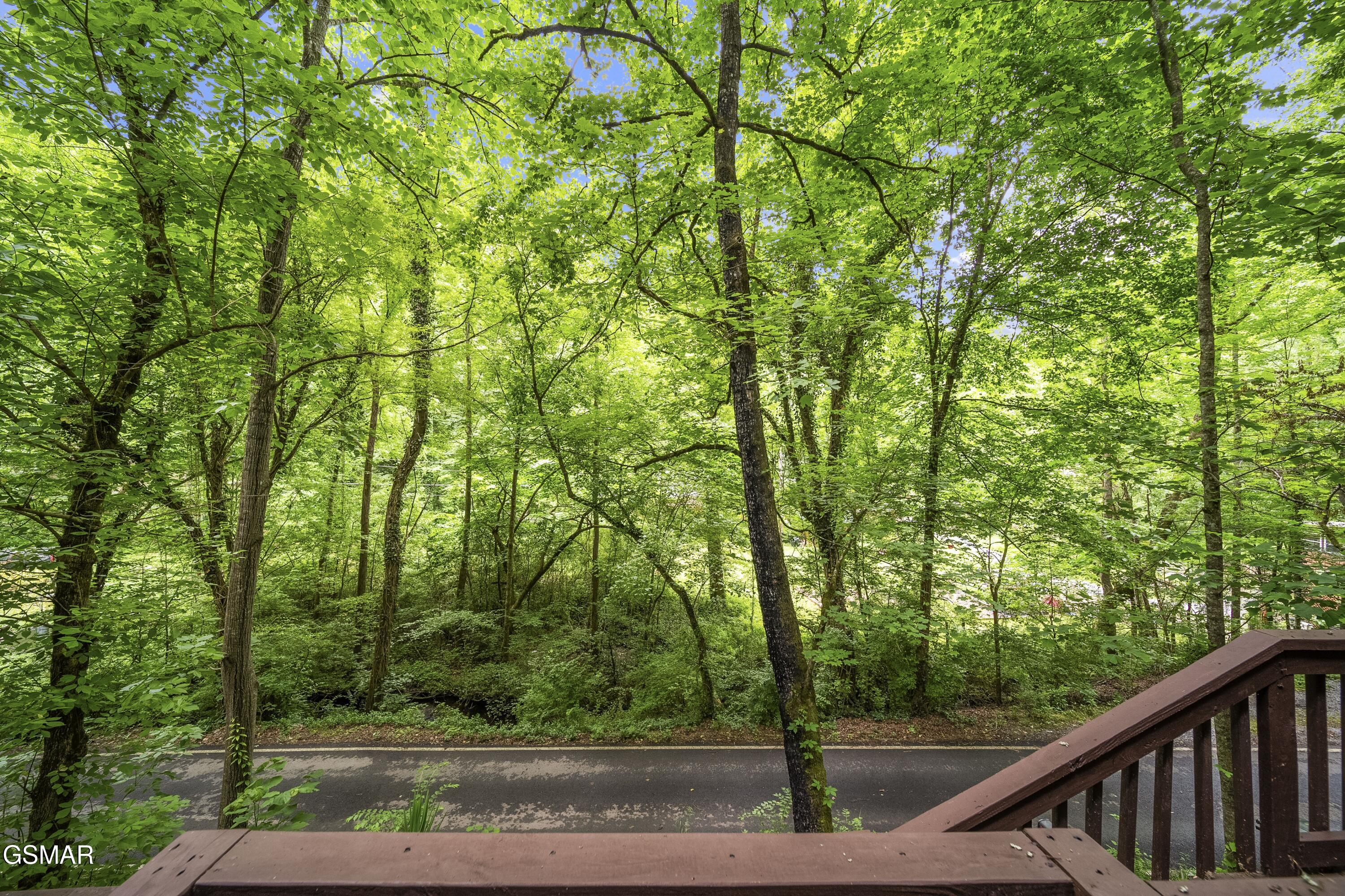 215 Lovers Lane Lane