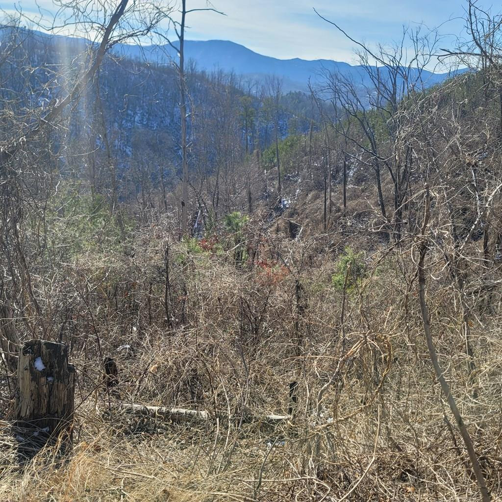 Lot 8 Kristis Place Place