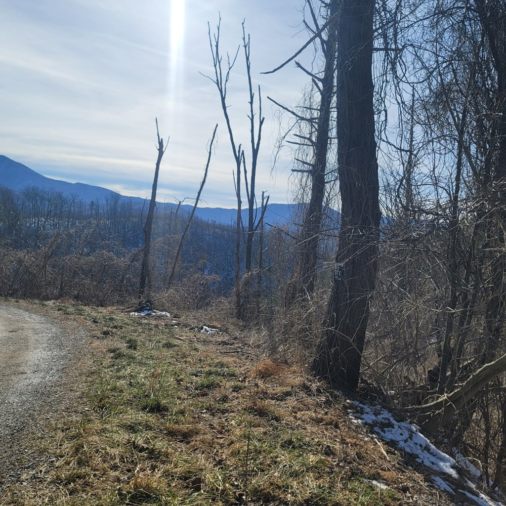 Lot 8 Kristis Place Place