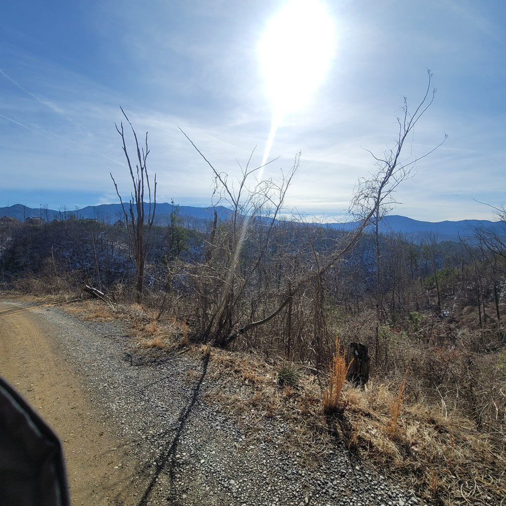 Lot 8 Kristis Place Place