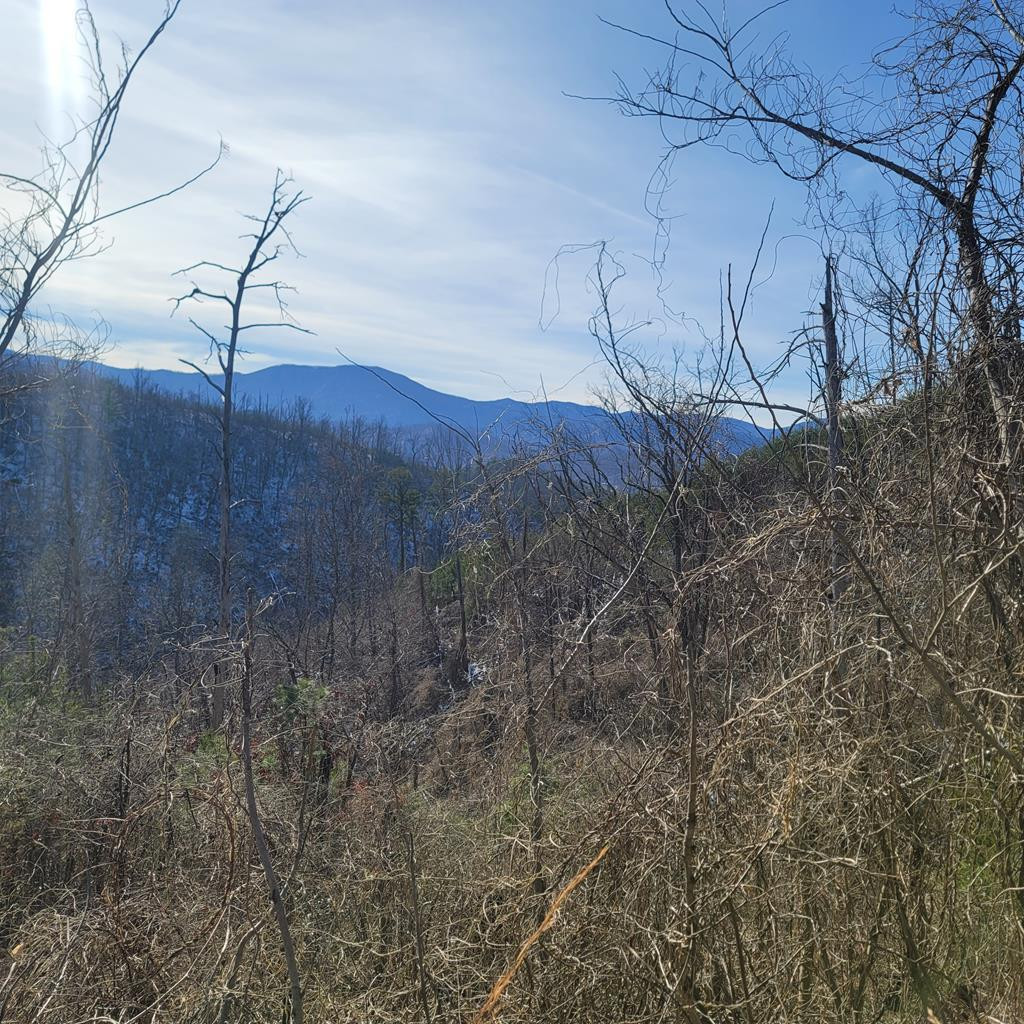 Lot 8 Kristis Place Place