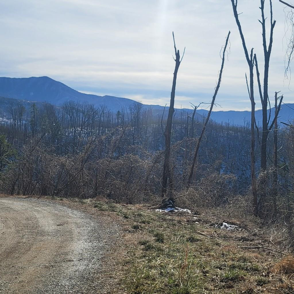 Lot 8 Kristis Place Place