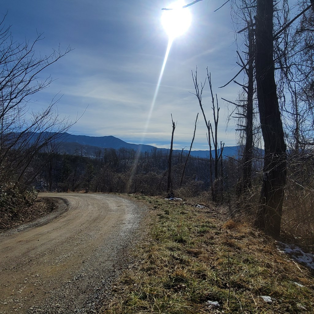 Lot 8 Kristis Place Place