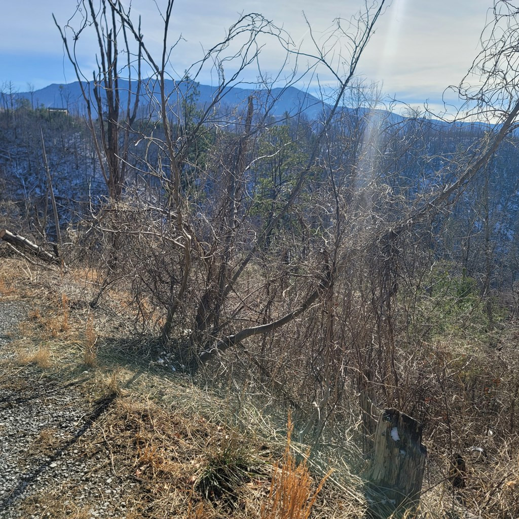 Lot 8 Kristis Place Place