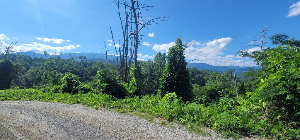 Lot 8 Kristis Place Place