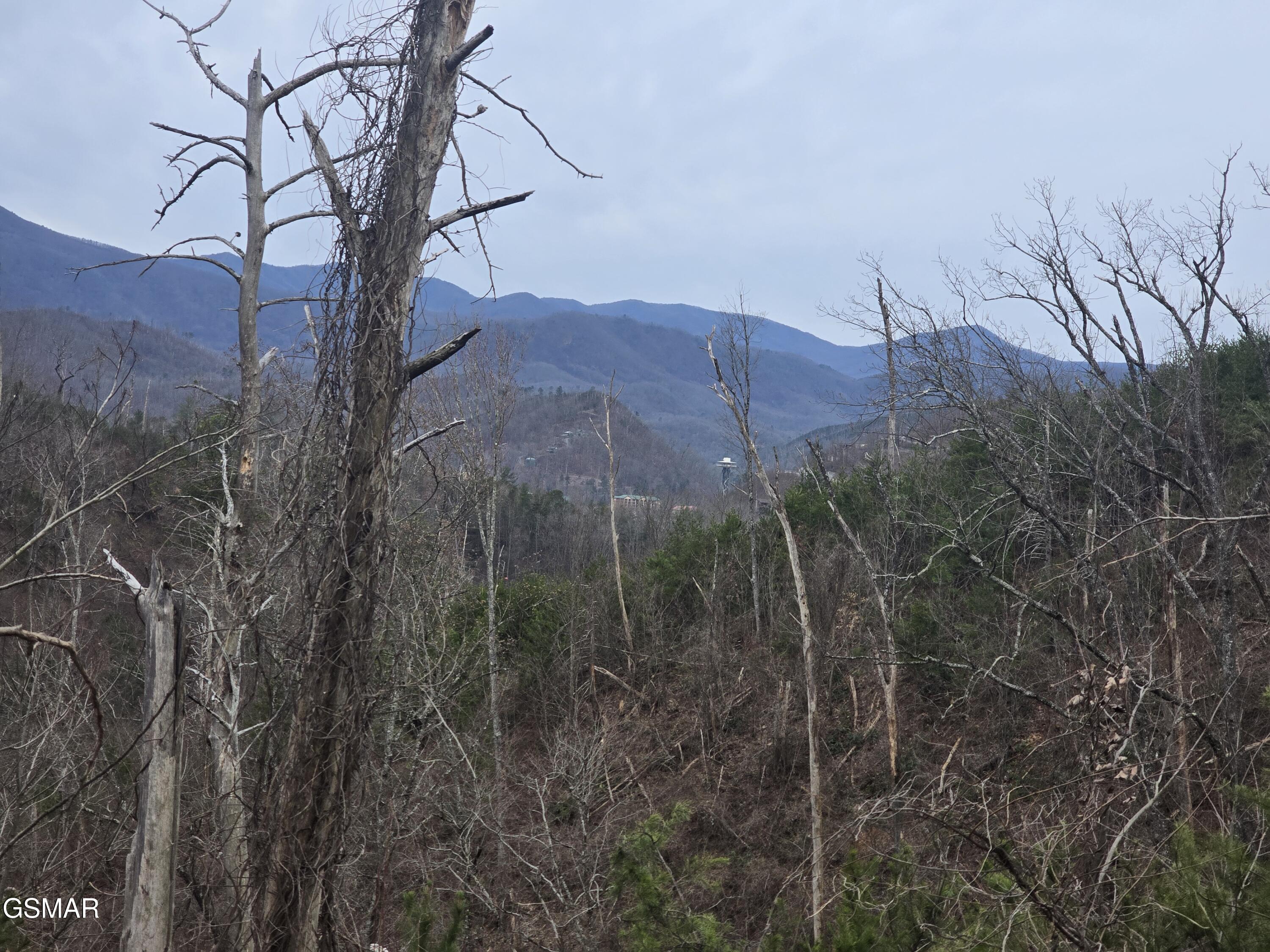 Lot 8 Kristis Place Place