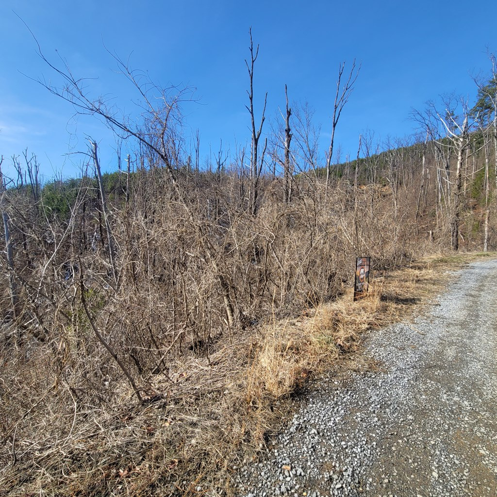 Lot 8 Kristis Place Place