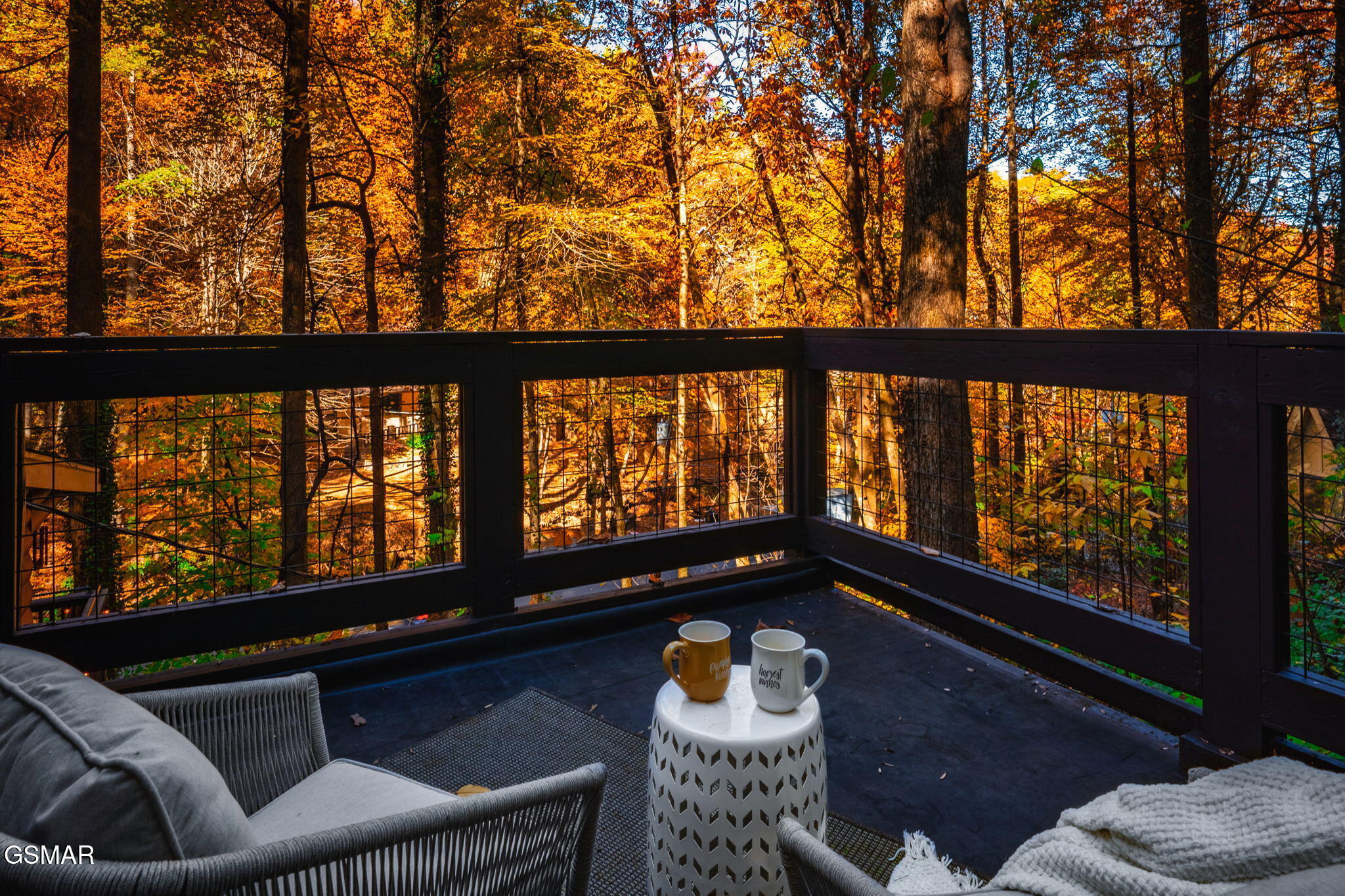 1121 Ski Mountain Road Road
