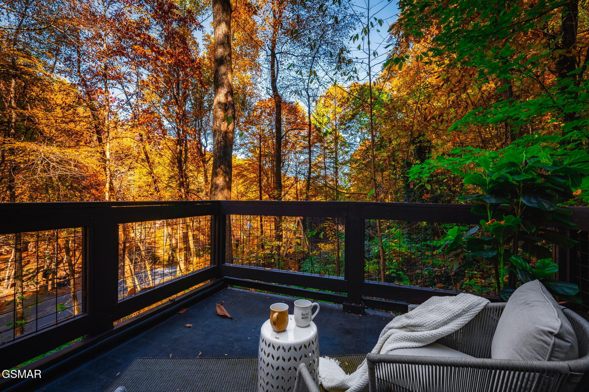 1121 Ski Mountain Road Road