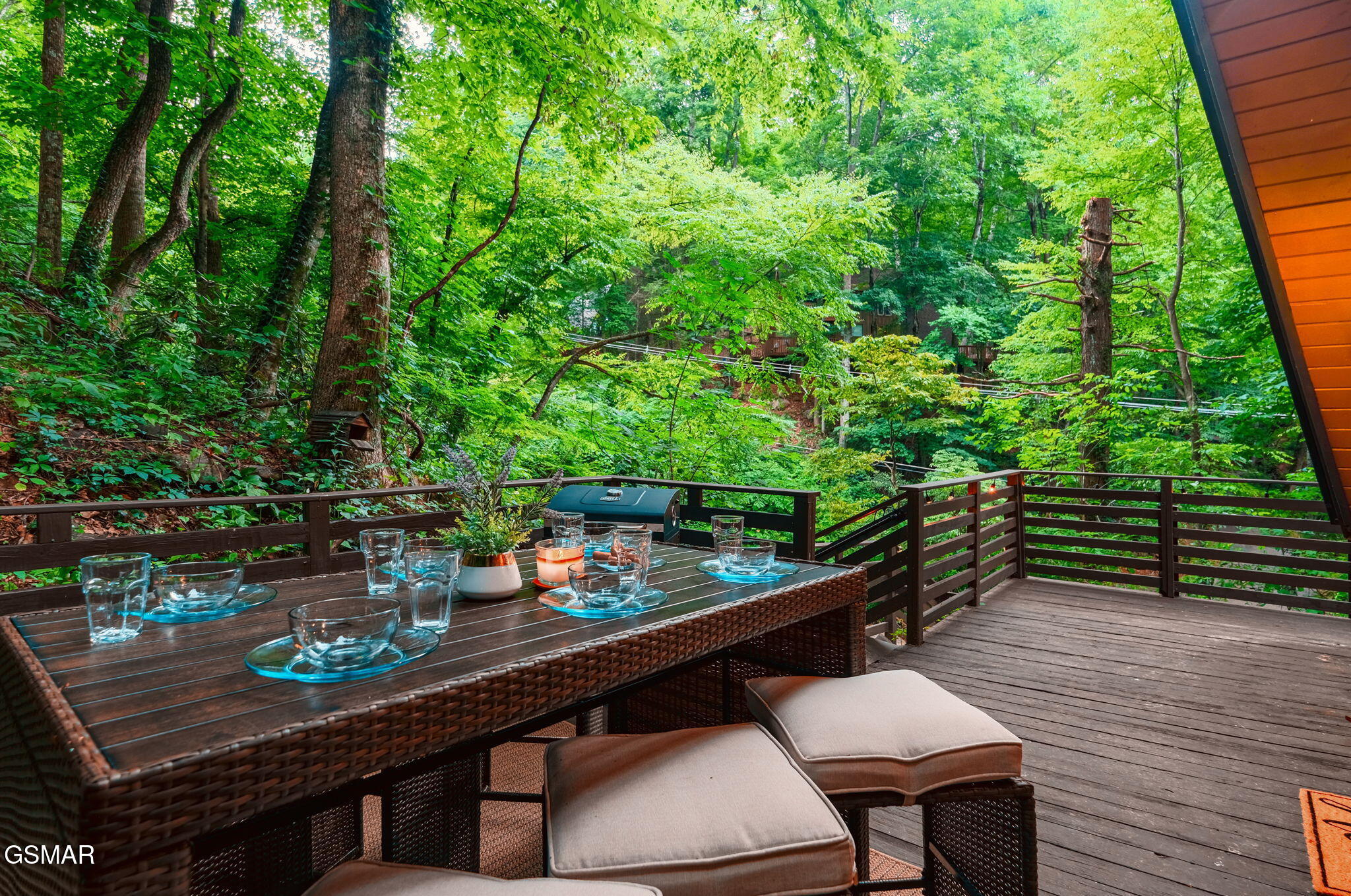 1121 Ski Mountain Road Road