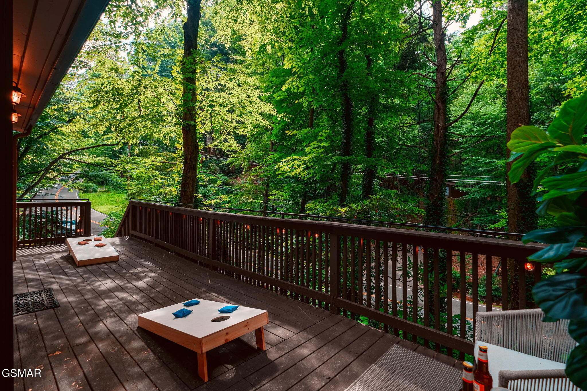1121 Ski Mountain Road Road
