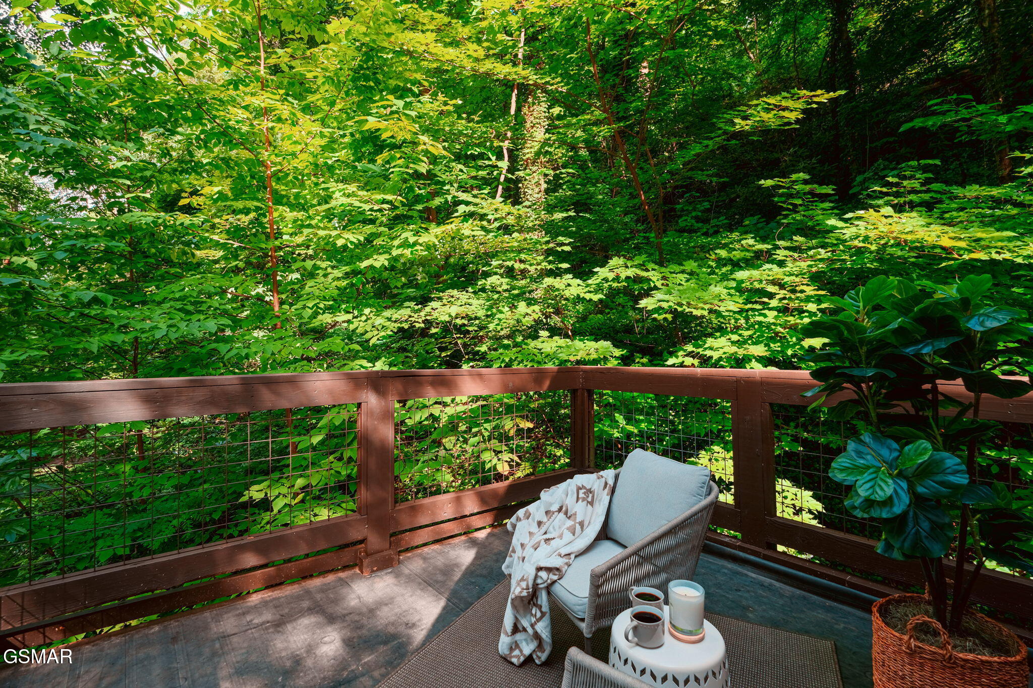 1121 Ski Mountain Road Road