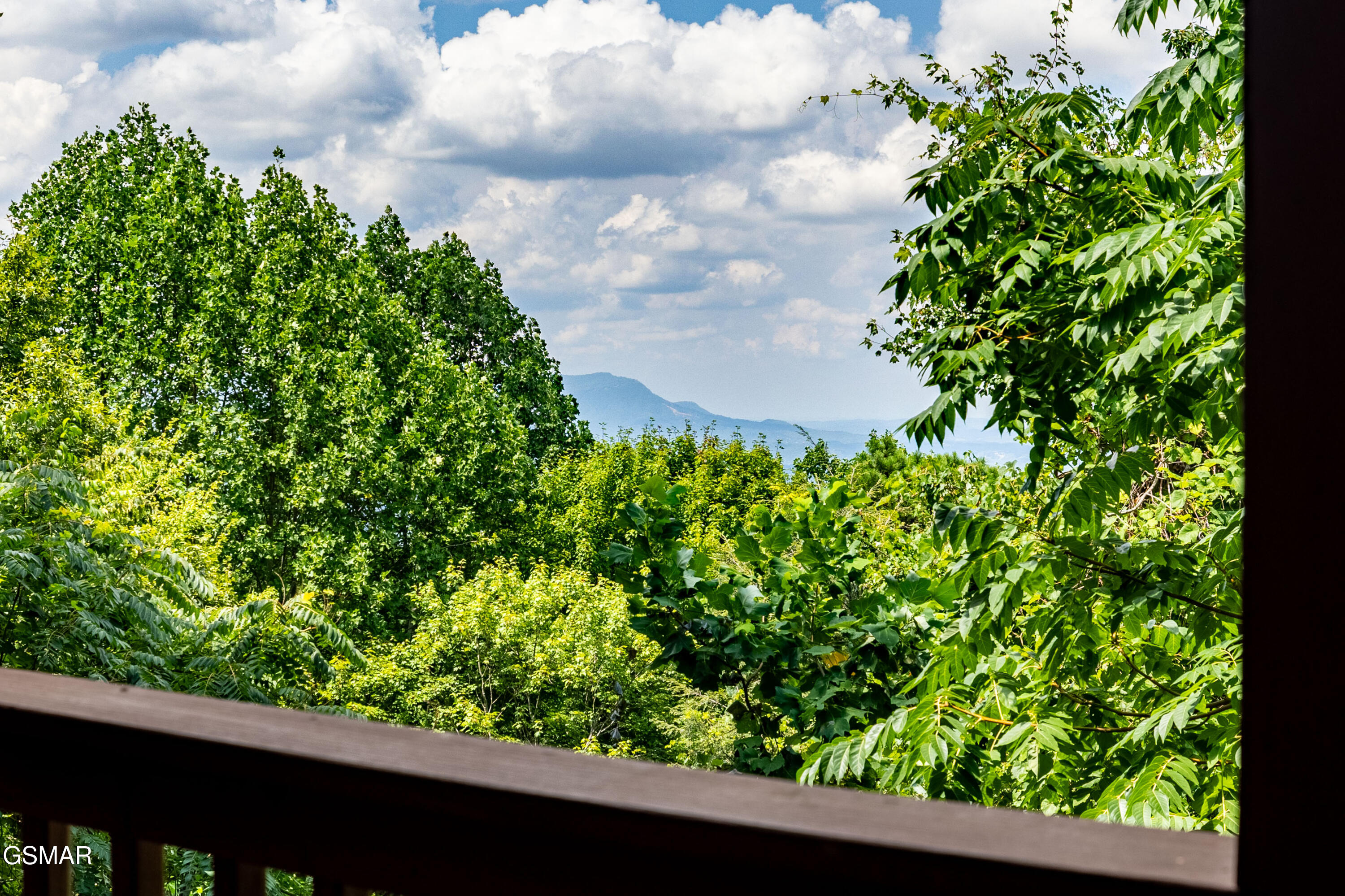 1814 Silver Poplar Lane Lane