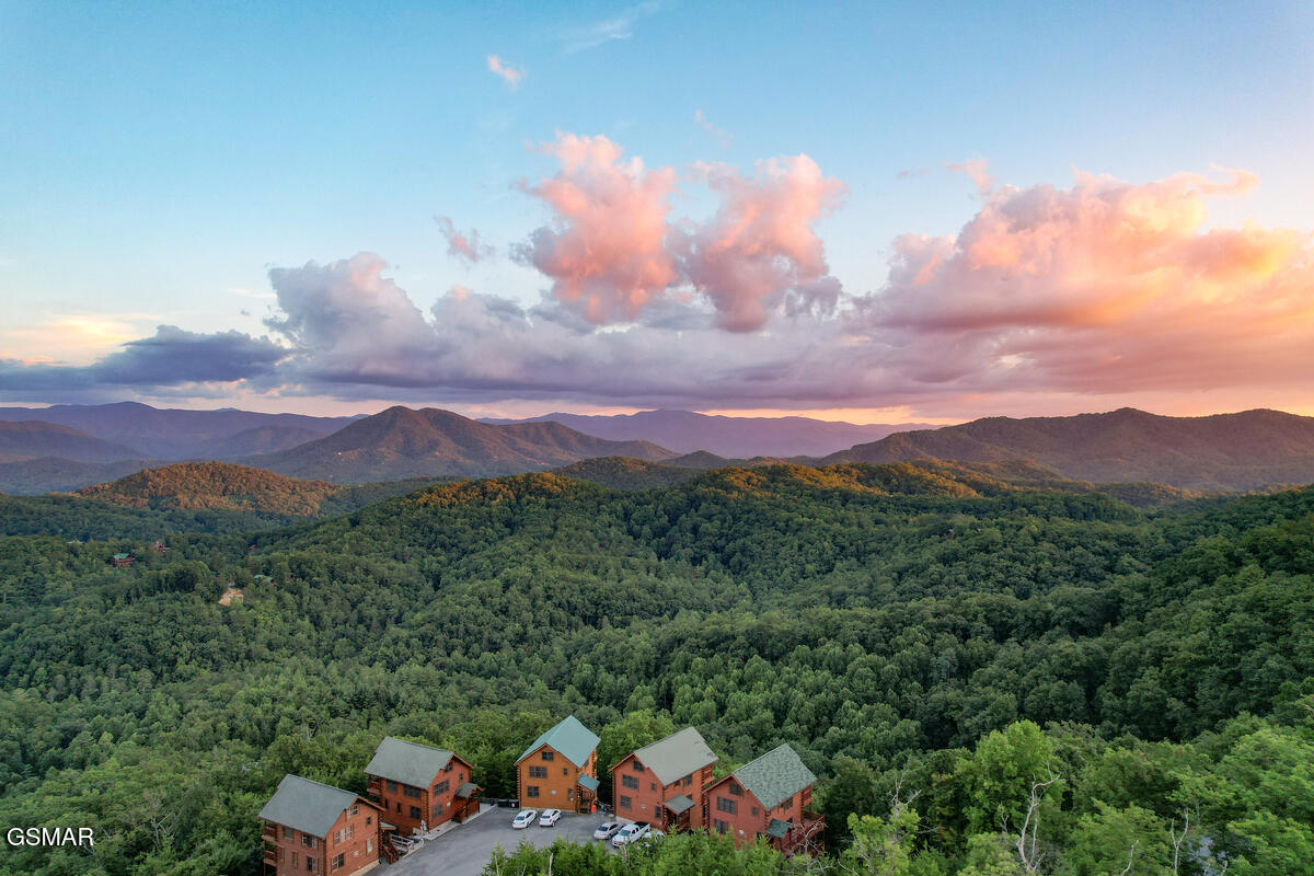 3028 Hickory Lodge Drive Drive