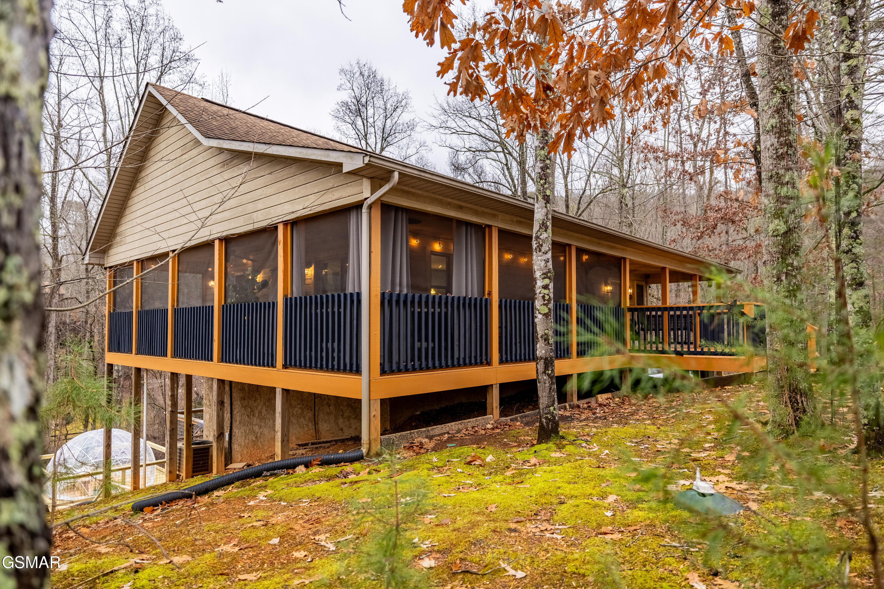 3658 Ginseng Way Way