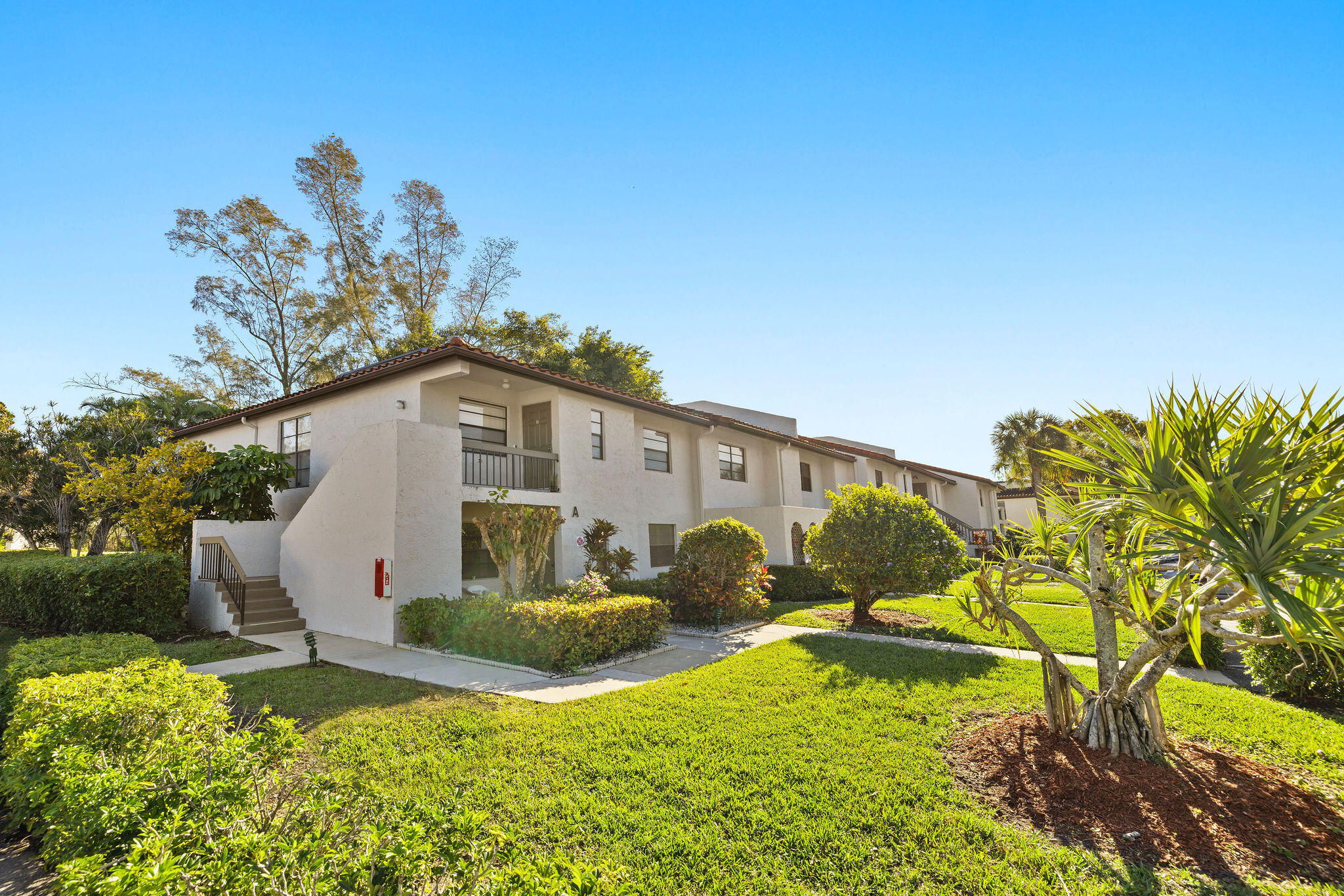 9193 Pecky Cypress Lane