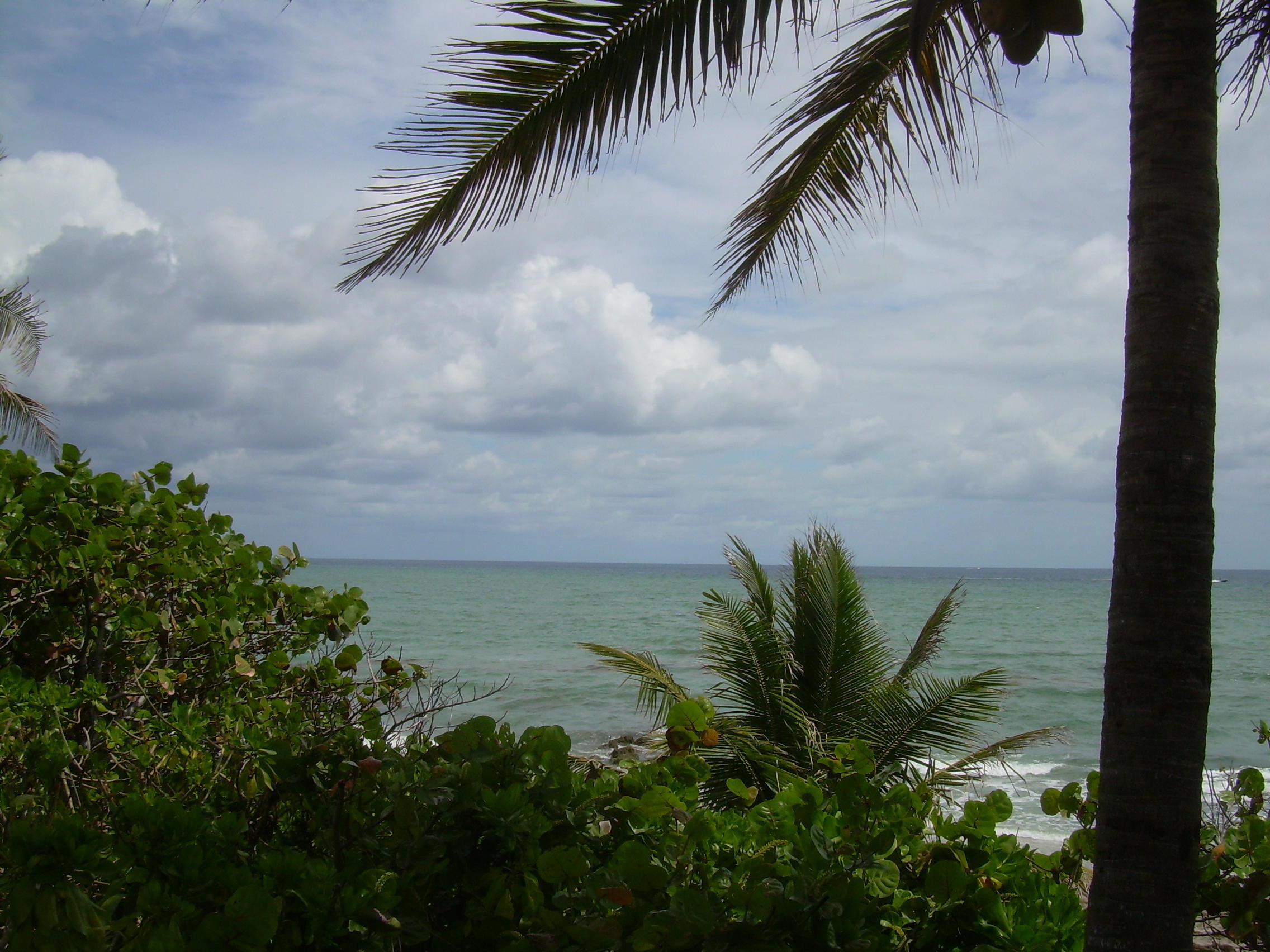 1000 Spanish River Road 3b