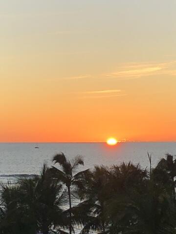 2871 N OCEAN Boulevard M226