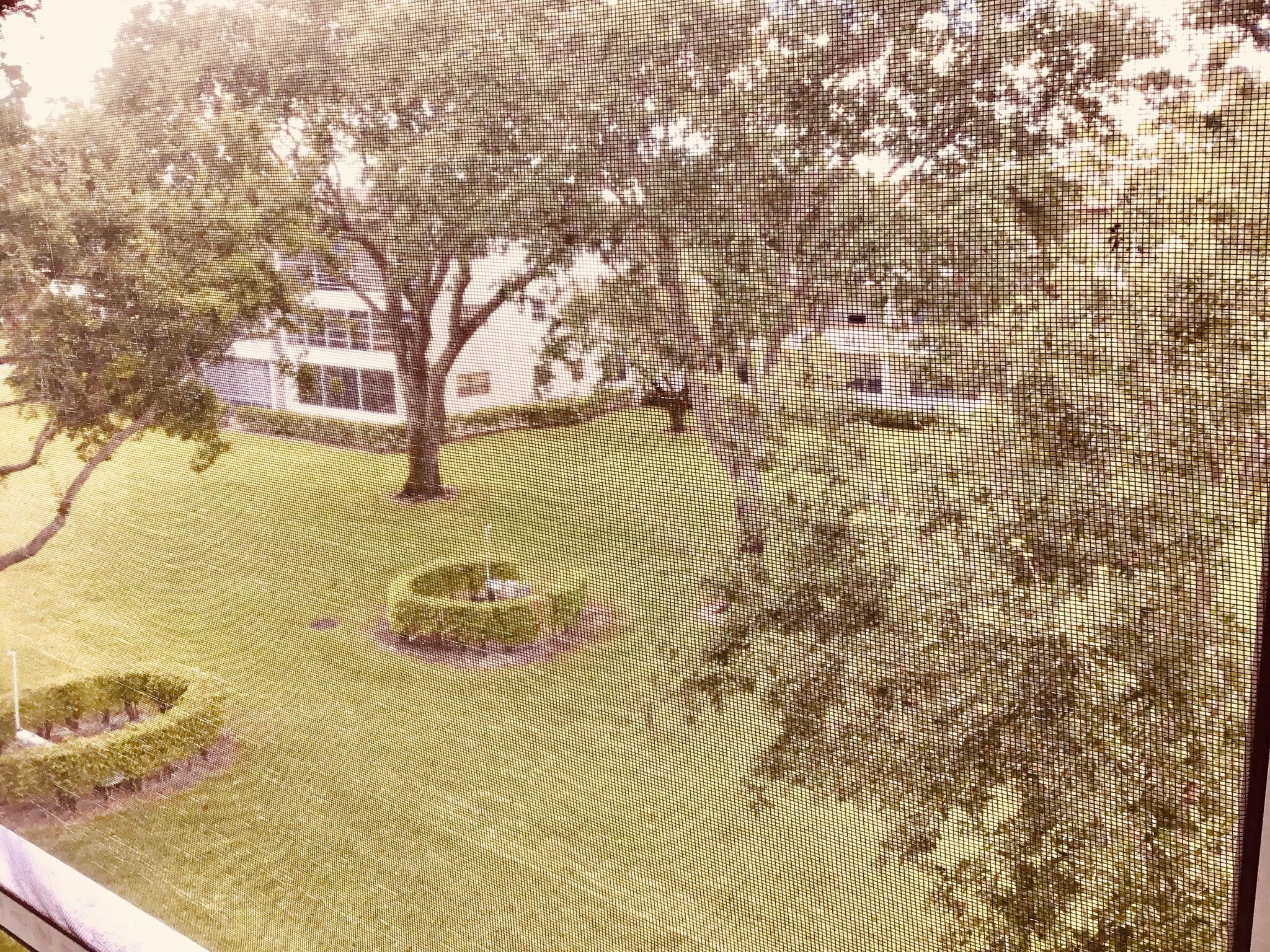 542 MANSFIELD M