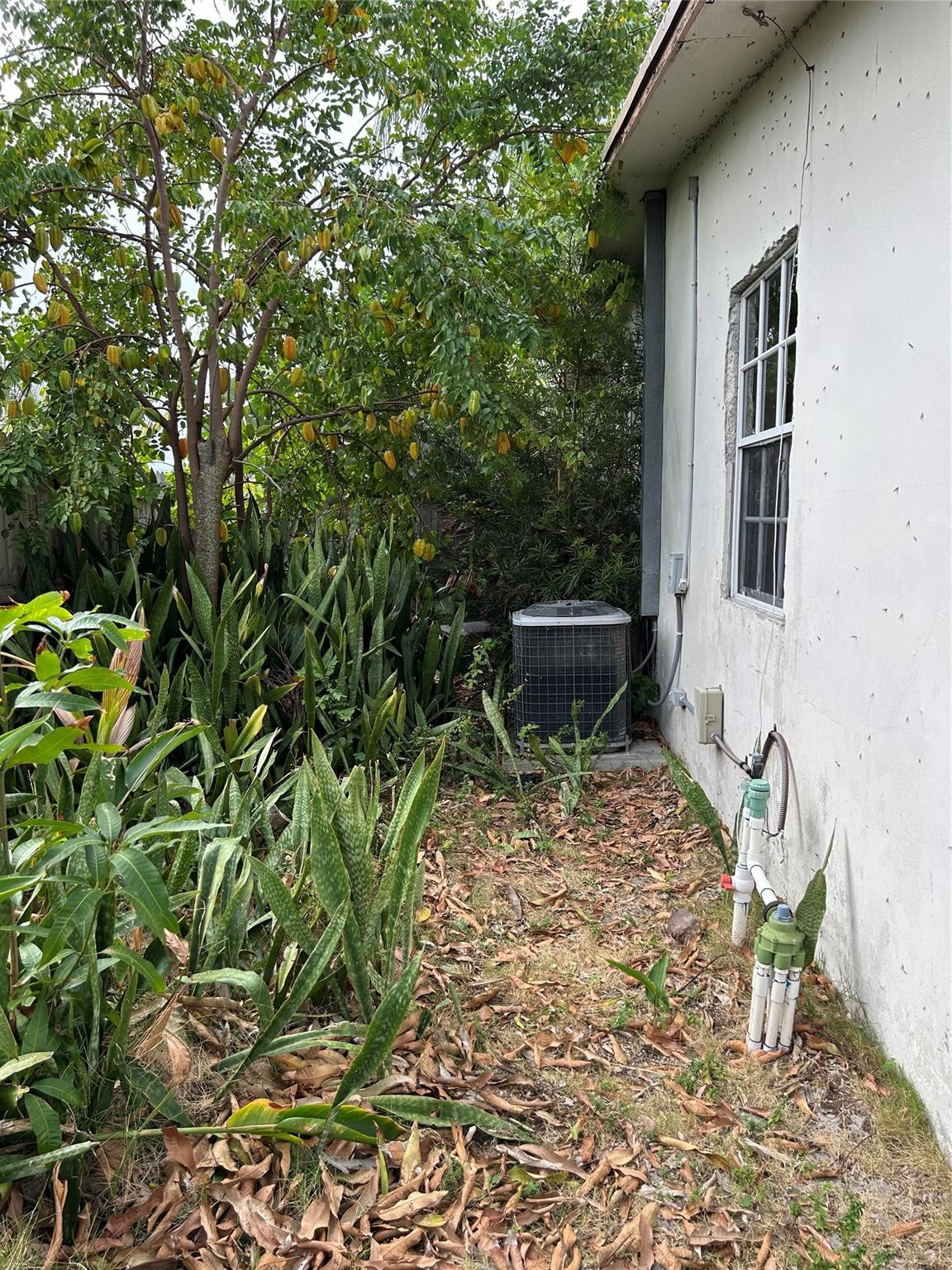 216 NE 15th Ave