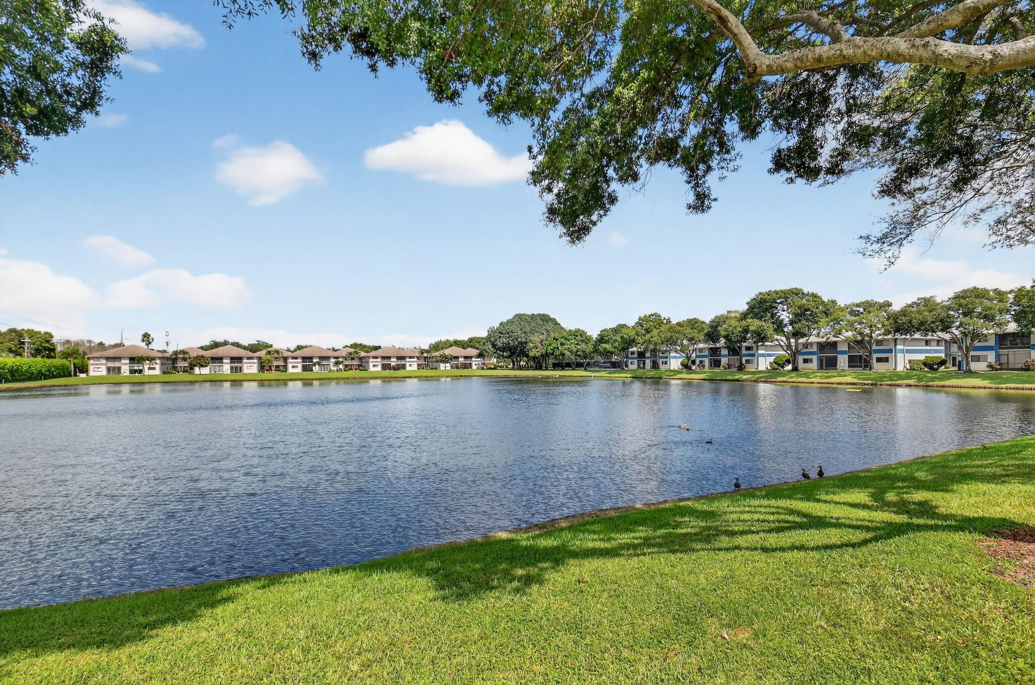 15401 Pembridge Ave 13