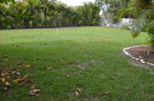 10631 Bexley Boulevard