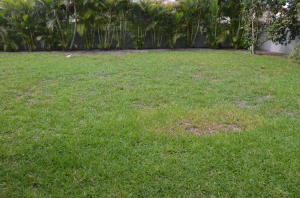 10631 Bexley Boulevard