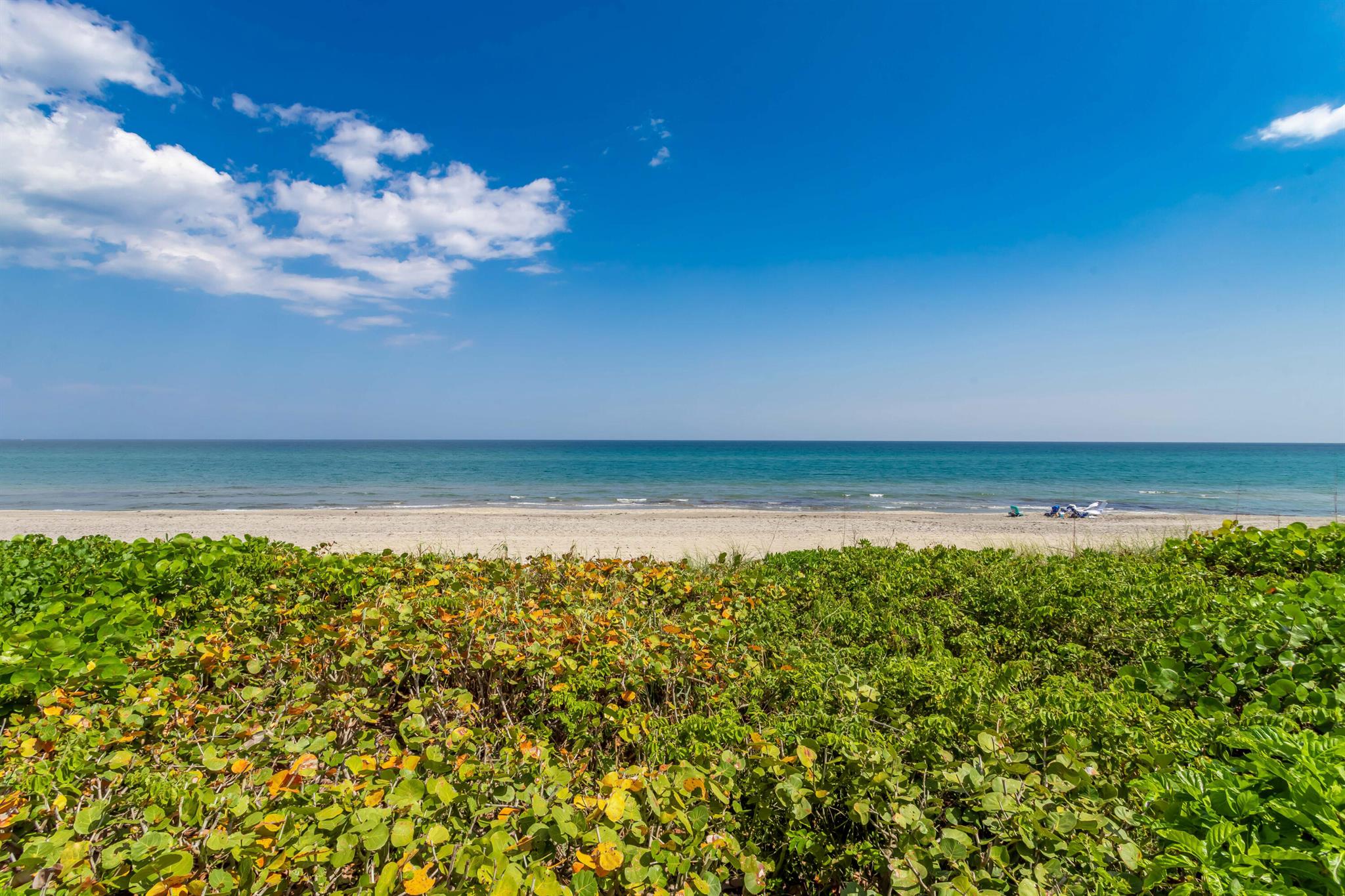 2701 S Ocean Boulevard 16