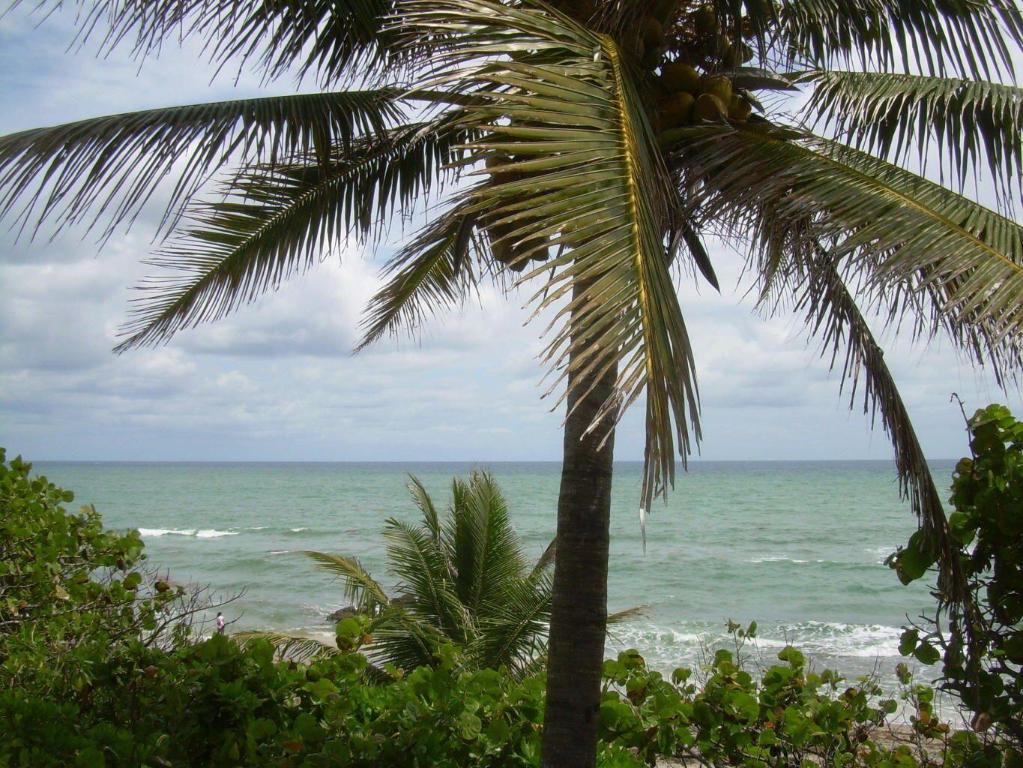 130 NW 70th Street 1020