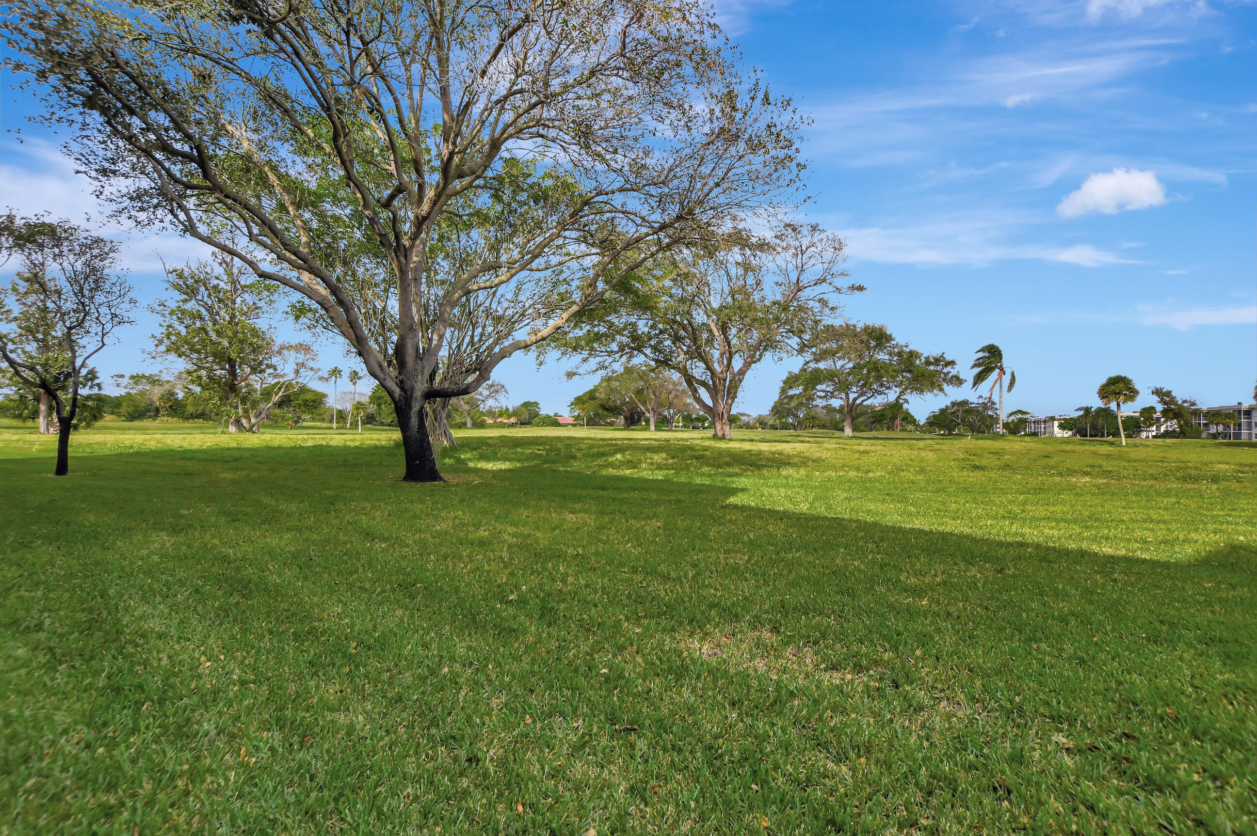 299 NW 52nd Terrace 1230