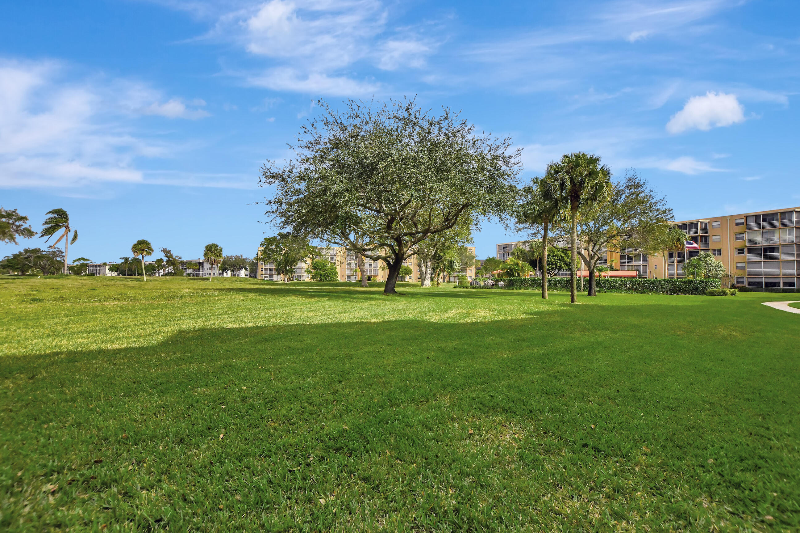 299 NW 52nd Terrace 1230