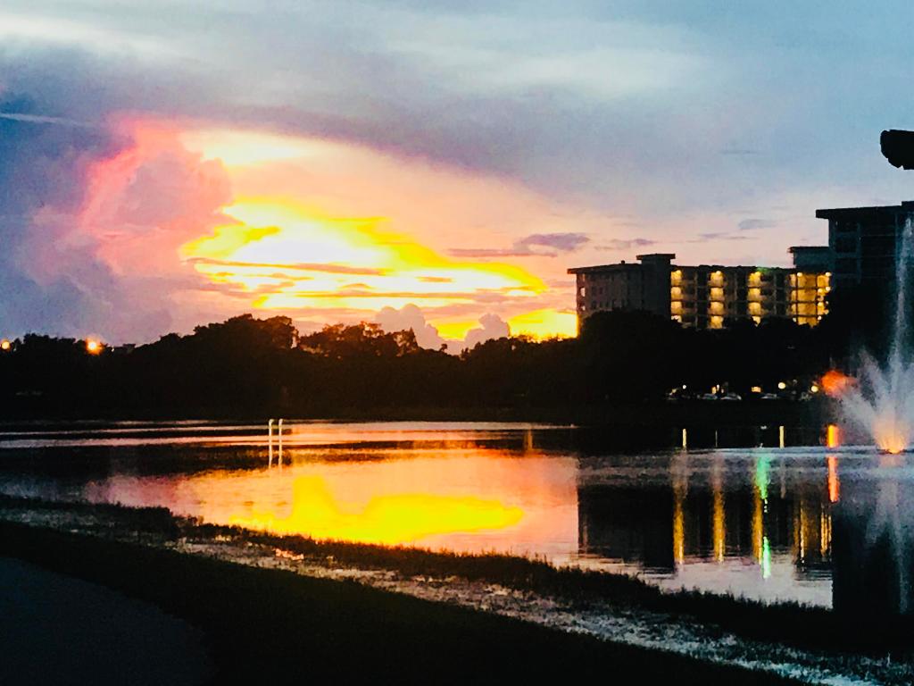 3010 N Course Drive 903