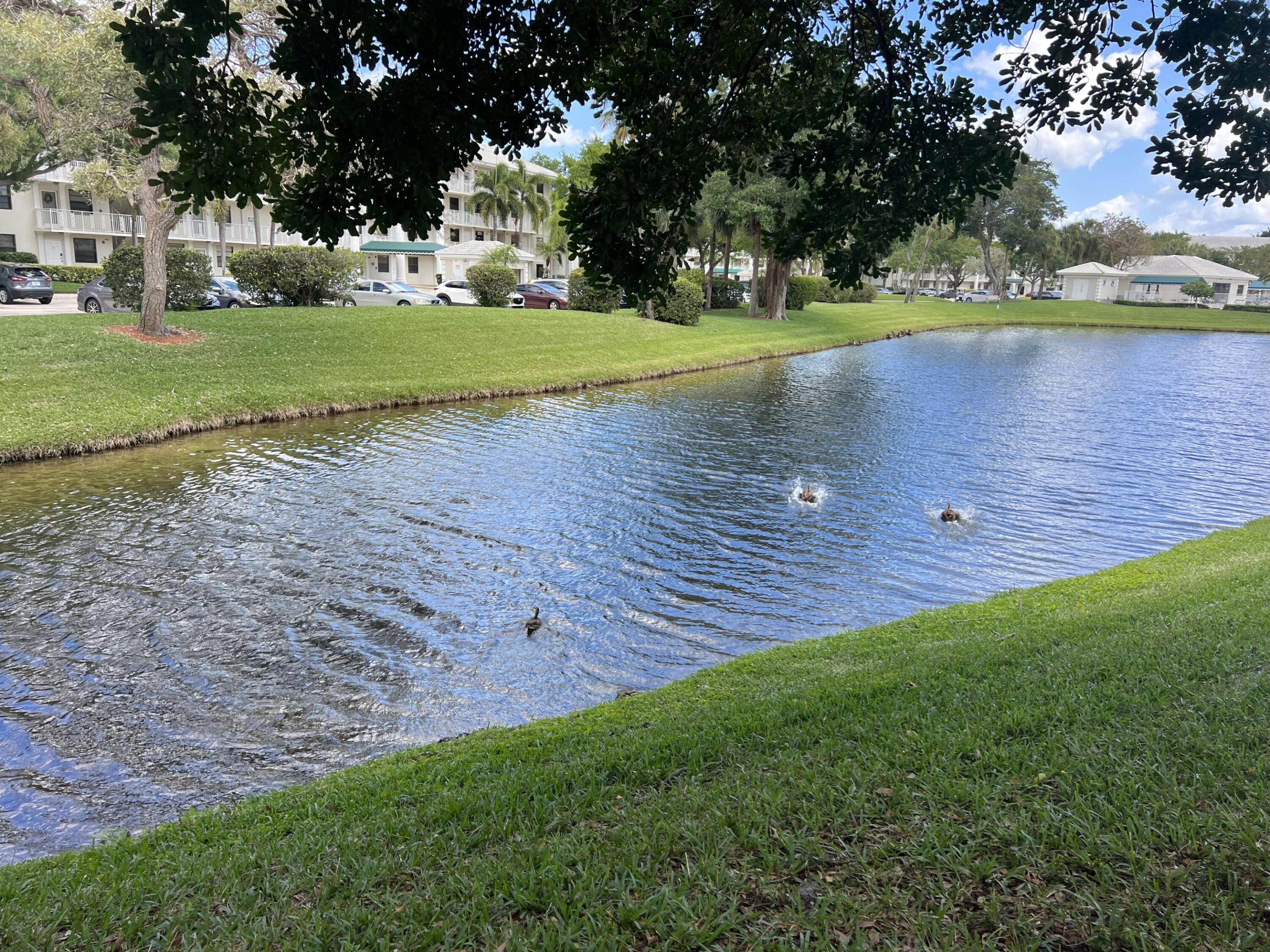 6169 Balboa Circle 205