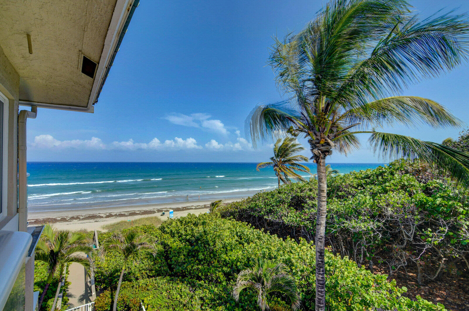 4535 Coquina Road B
