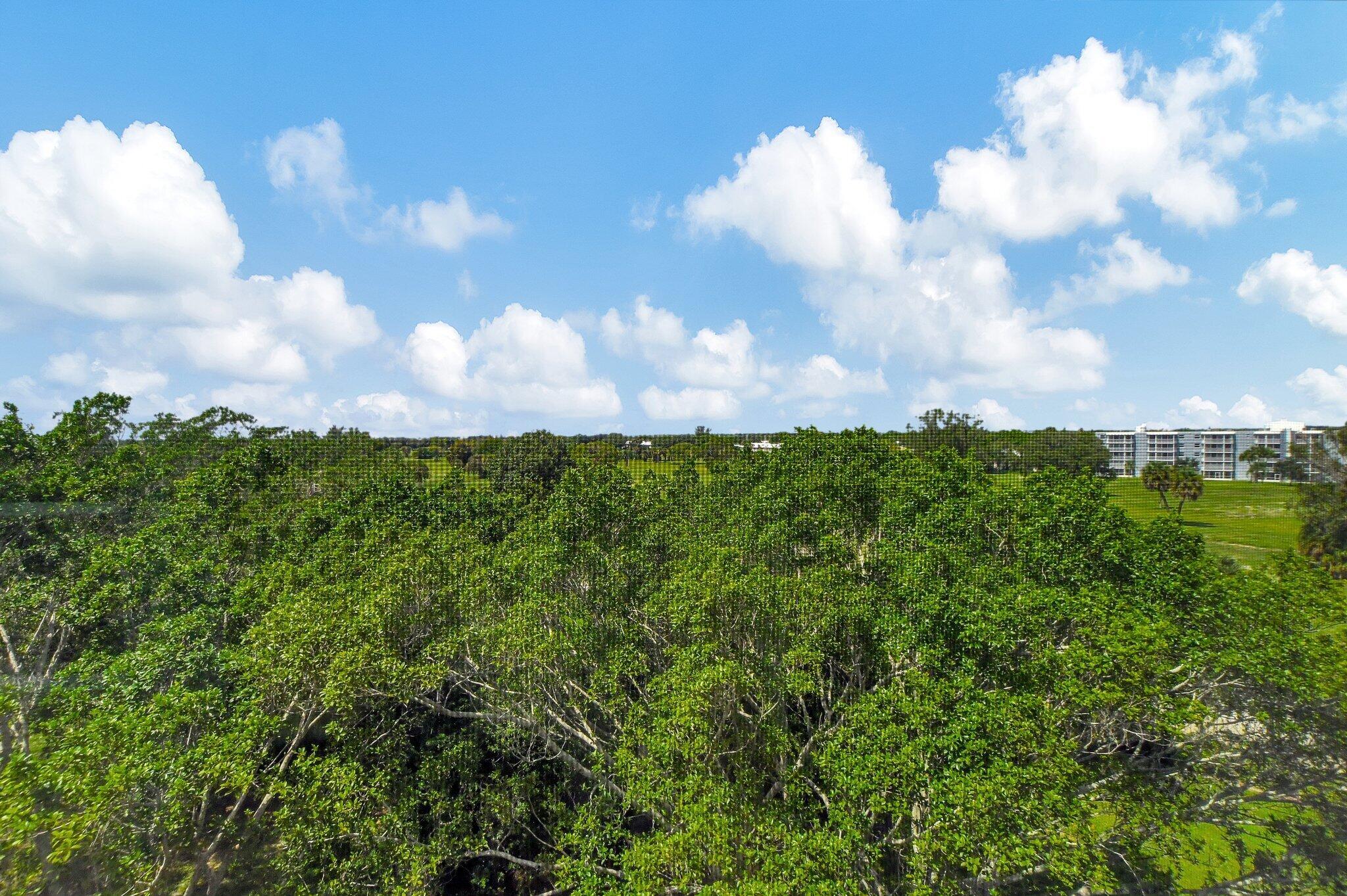 6461 NW 2nd Avenue 516