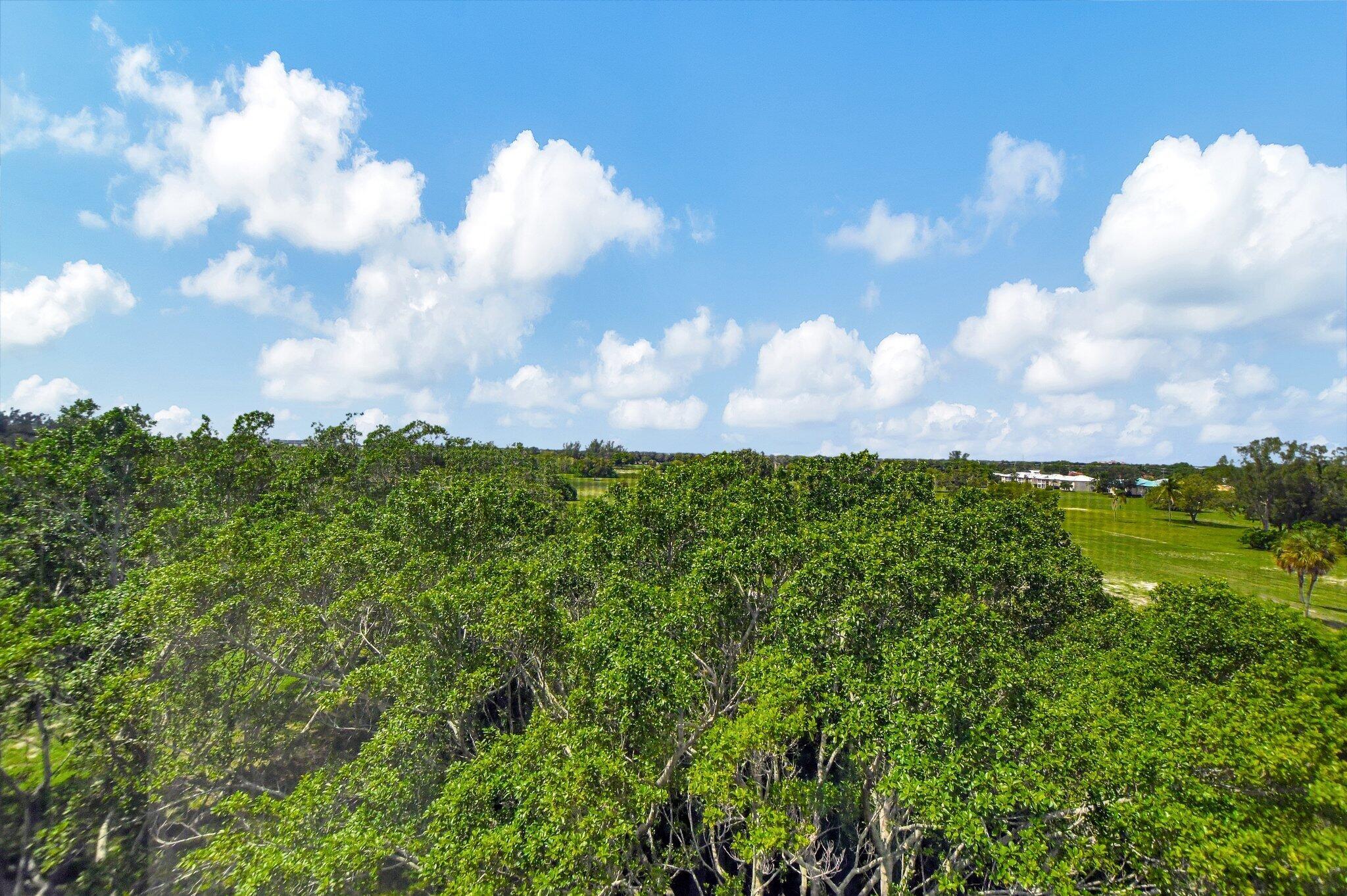 6461 NW 2nd Avenue 516