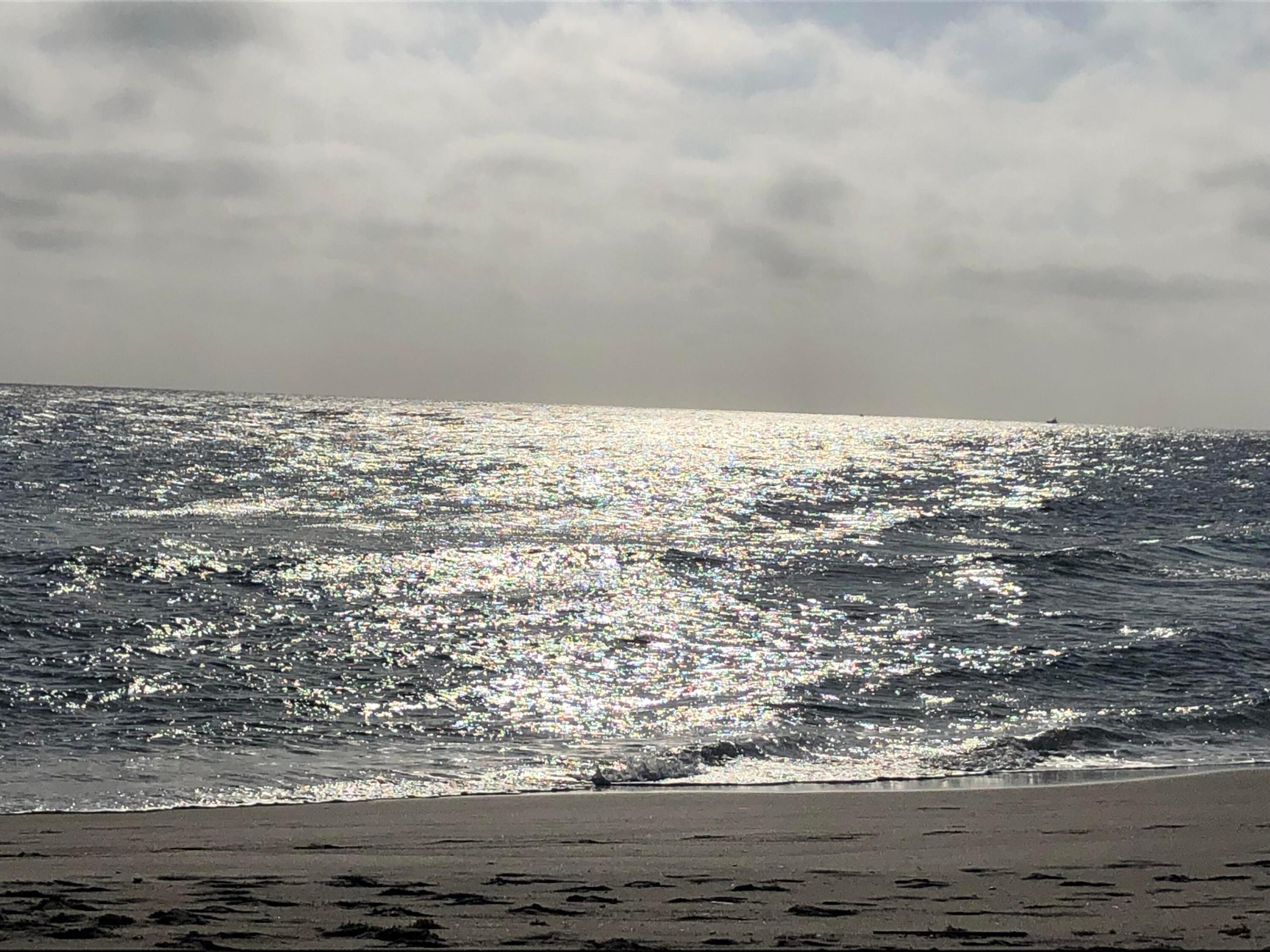 3450 S Ocean Blvd Boulevard 606