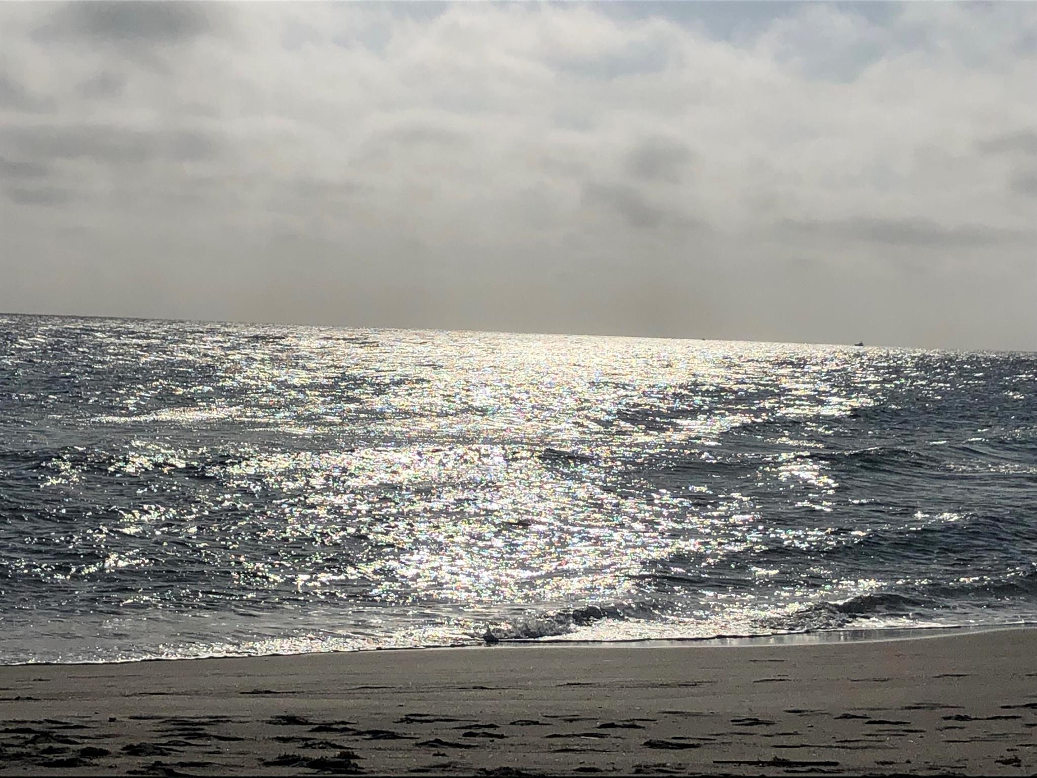 3450 S Ocean Blvd Boulevard 606