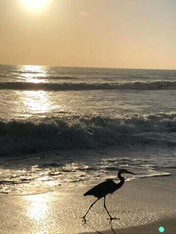 3450 S Ocean Blvd Boulevard 606