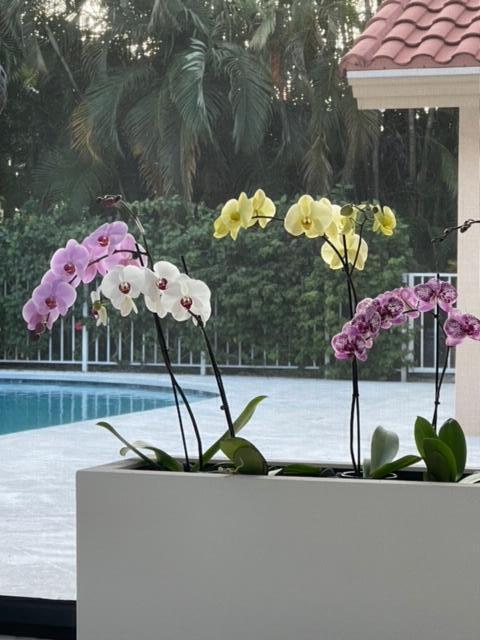 4335 Bocaire Boulevard