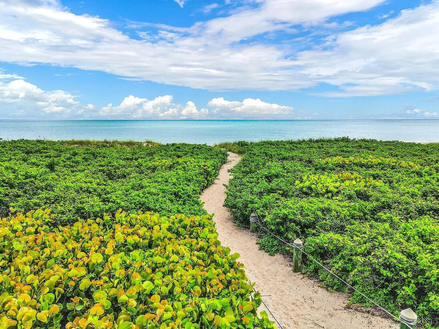 1550 S Ocean Drive 15
